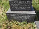image of grave number 833582